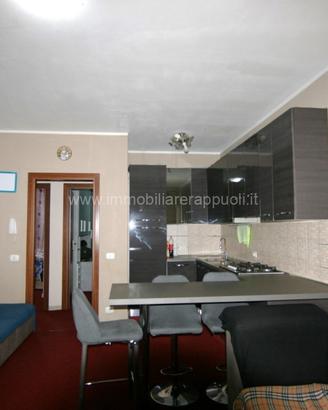 AP19 - Bettolle appartamento di mq 72 di r