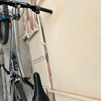 Specialized