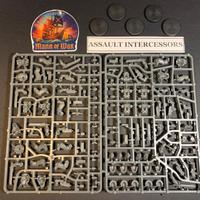 5 Intercessor d'Assalto Space Marine Warhammer 40k