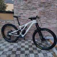 specialized stumpjumper evo M