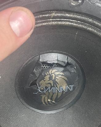 Casse dominant + tweeter edge pro