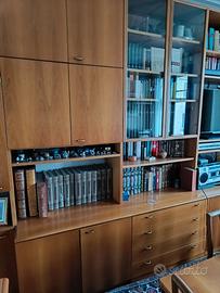 Mobile contenitore per soggiorno