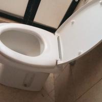 sanitari classici