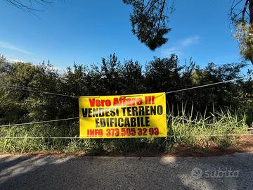 Terreno edificabile Otricoli