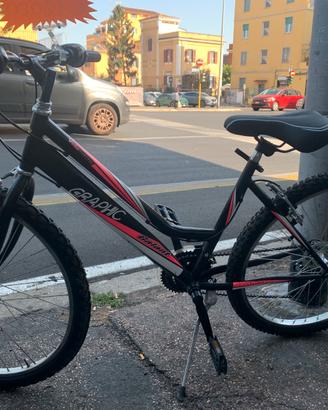 Bici MTB26 modello graphic  18 velocità shimano