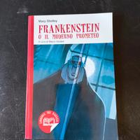 libro per ragazzi: Frankenstein o il moderno prome