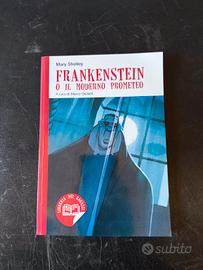 libro per ragazzi: Frankenstein o il moderno prome