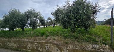 TERRENO EDIFICABILE EURO 85.000 SAN GIOVANNI TEATI
