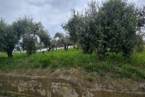 TERRENO EDIFICABILE EURO 85.000 SAN GIOVANNI TEATI