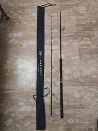 Daiwa saltist x + Shimano Nashi 4000XG