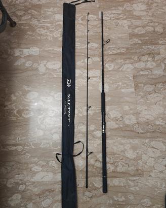 Daiwa saltist x + Shimano Nashi 4000XG