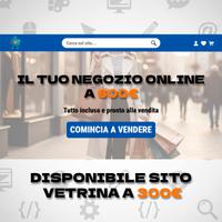 Sito Web Professionale: Vetrina o E-commerce