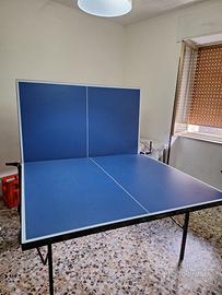 Tavolo da ping pong