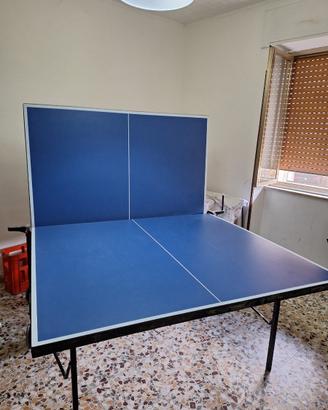 Tavolo da ping pong