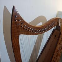 Arpa celtica