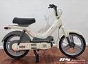 atala-green-50