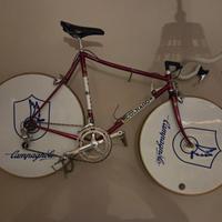 Bici campagnolo