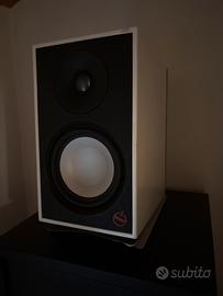 Cassa amplificata Paradgm shift A2