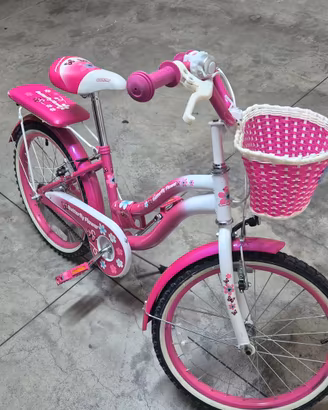 bicicletta 