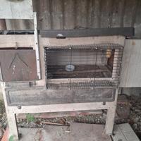 Pollaio con porta automatizzata sono 2 pezzi