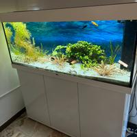 Acquario juwel rio 240