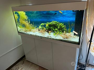 Acquario juwel rio 240