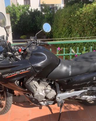 HONDA TRANSALP  XL 650
