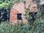 Immagine 12