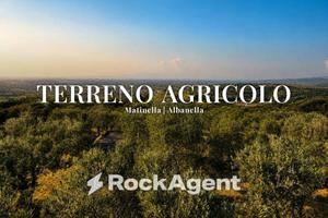 Terreno di 15000 m² a Albanella