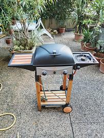 Barbecue da giardino