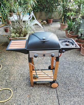 Barbecue da giardino