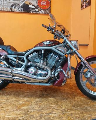 Harley V-ROD Garanzia Permuta Consegna