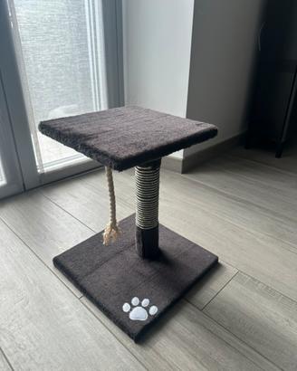 Tiragraffi nero arcaplanet gatto