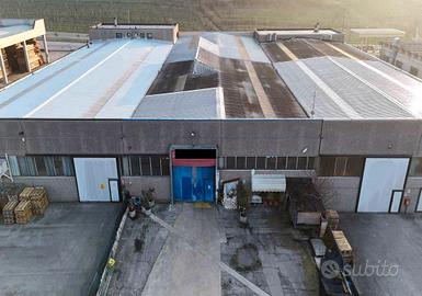 RGE 290/2023 Tribunale Verona - Lotto 1)
