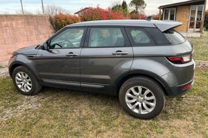 Range Rover Evoque automatica