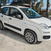 Panda Metano Valuto permute