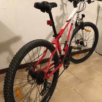 MTB XS Diamondback Vertec