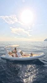 GOMMONE Antares Giglio 65 S