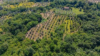 Terreno di 17299 m² a Mompeo