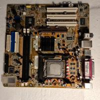 Scheda madre ASUS P5S800-VM/S SIS964 INTEL PENTIUM