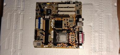 Scheda madre ASUS P5S800-VM/S SIS964 INTEL PENTIUM