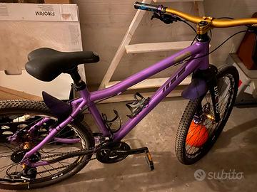 Bicicletta da donna