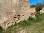 Immagine 9