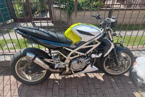 Suzuki gladius 650 pista/strada