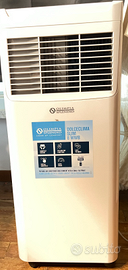 Olimpia Splendid Dolceclima Slim 8 WWB