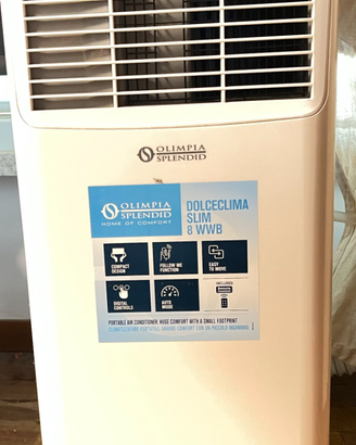 Olimpia Splendid Dolceclima Slim 8 WWB