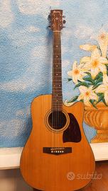 Chitarra Elettroaccustica Ibanez