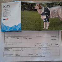 Tutore cane Balto spalla TG.M usato un mese