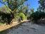 Immagine 11