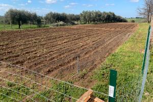 Lotti terreno agricolo